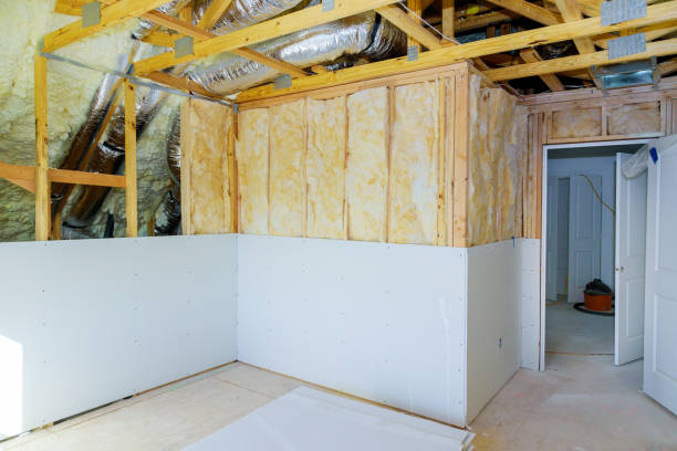 Best Cellulose Insulation  in USA